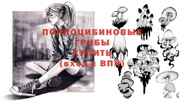 шишки Алексин