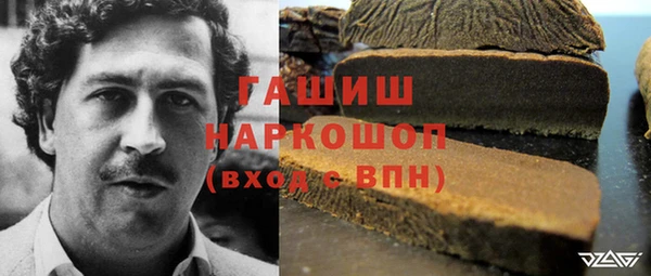 шишки Алексин