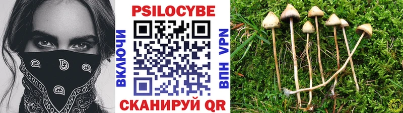 Галлюциногенные грибы ЛСД  Кашин 