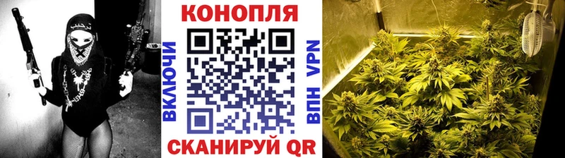 наркота  Кашин  blacksprut зеркало  Шишки марихуана VHQ 
